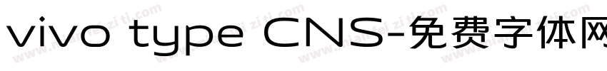 vivo type CNS字体转换